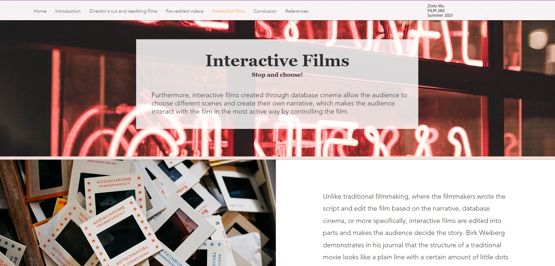 Film essay web